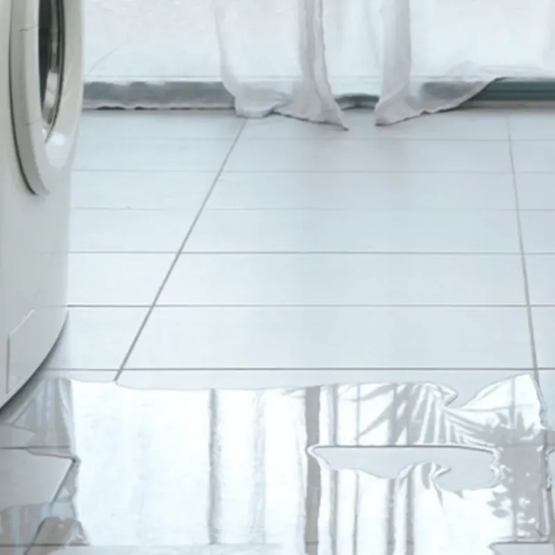 Appliance Leak Cleanup in Shelbyville, KY