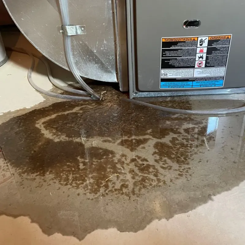Pipe Burst and Leak Restoration in Shelbyville, KY