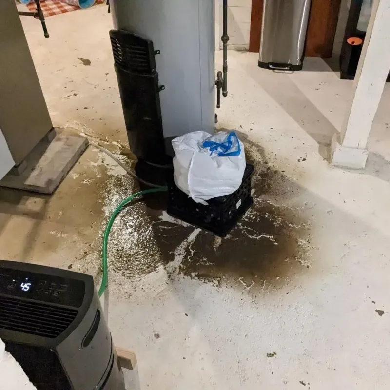 Sewage Backup Cleanup Service in Shelbyville, KY